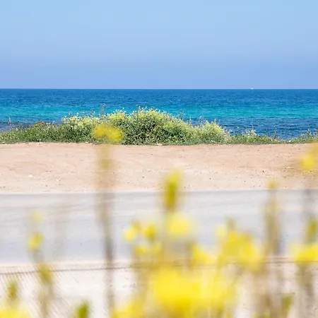 On The Couette-café